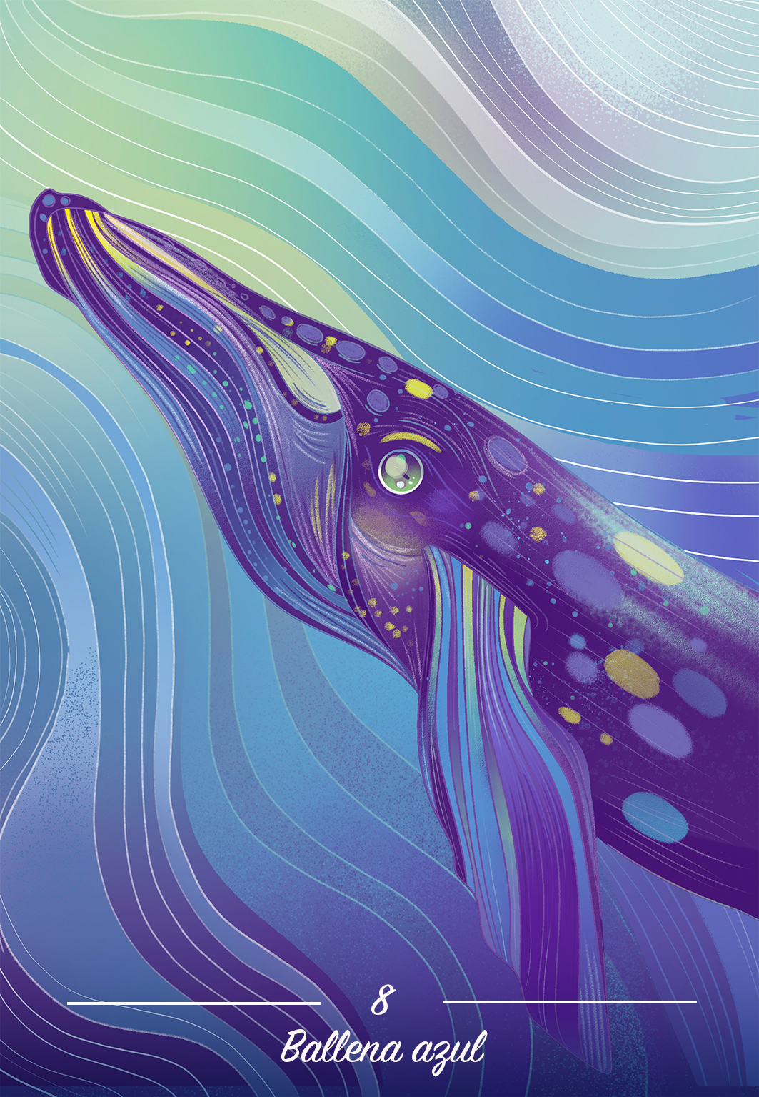 Illustration of a whale