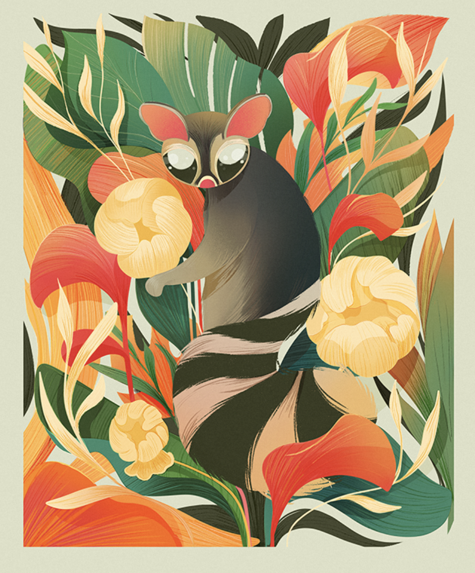 Cacomixtle — Mexican Lottery illustration by Liz Merino